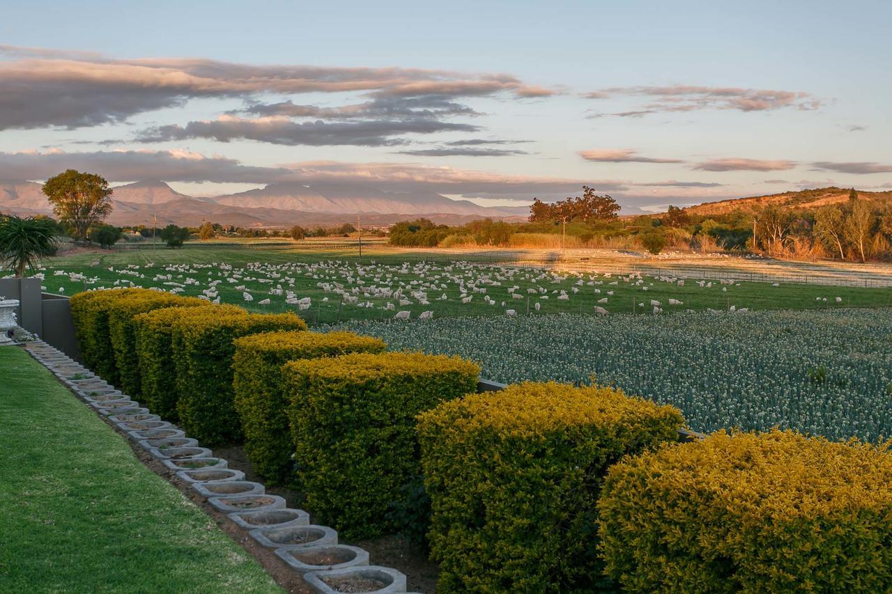 Sonas Boutique Hotel Oudtshoorn Bagian luar foto